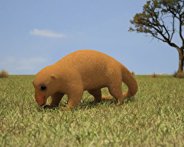 Silky Anteater Low Poly 3D model