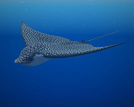 Spotted Eagle Ray Low Poly 3Dモデル