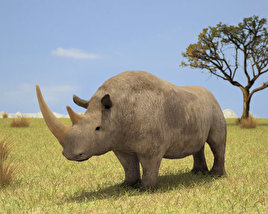Woolly Rhinoceros Low Poly 3D model