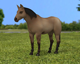 American Quarter Horse Low Poly Modello 3D
