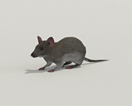 Mouse Gray Low Poly 3D-Modell