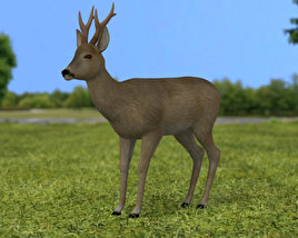 Roe Deer Low Poly Modèle 3D