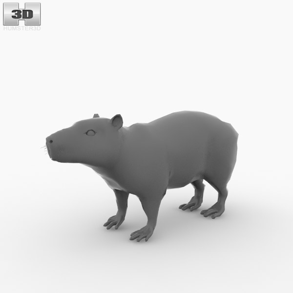 Capybara - Download Free 3D model by Rectus (@rectus) [445b5a9], jogo  clicker capivara 