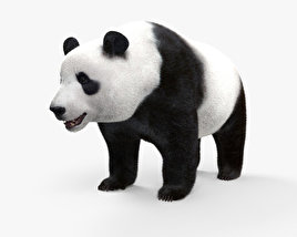 Panda gigante Modelo 3D