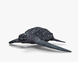 Кожистая черепаха 3D модель