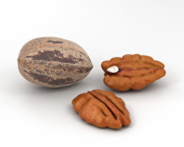Pecan Nuts 3D model
