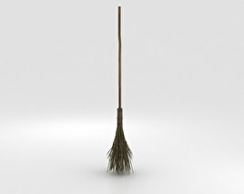 Witch's Broom 3D model