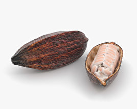 Cabosse de cacao Modèle 3D