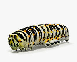 Caterpillar 3D model