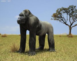 Gorilla Low Poly Modèle 3D