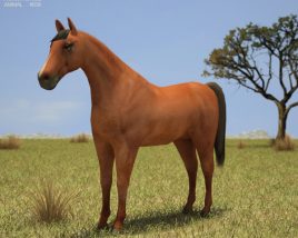 Horse Low Poly Modèle 3D