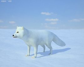Arctic fox Low Poly Modèle 3D