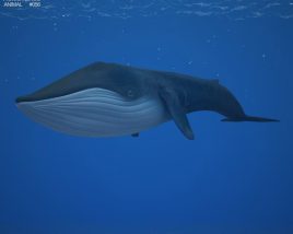 Blue whale Low Poly 3D-Modell