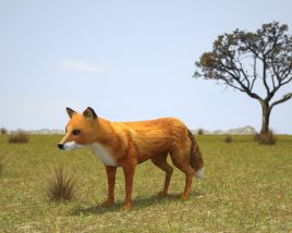 Fox Low Poly 3D-Modell