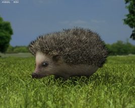 Hedgehog Low Poly Modello 3D