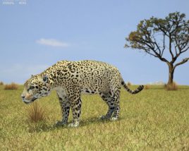 Jaguar Low Poly Modèle 3D