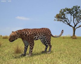Leopard Low Poly Modello 3D