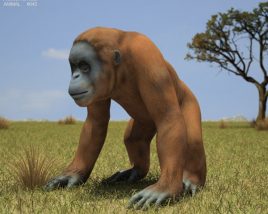 Orangutan Low Poly Modelo 3d