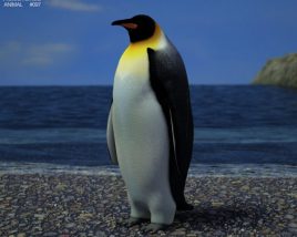 Emperor penguin Low Poly Modèle 3D