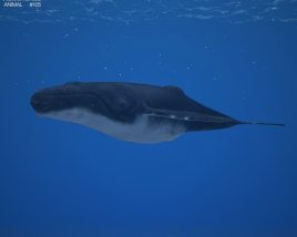 Humpback whale Low Poly 3Dモデル