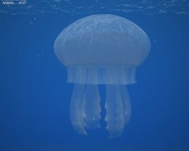 Jellyfish Low Poly Modèle 3D