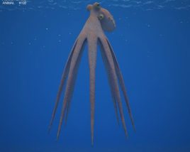 Octopus Low Poly 3Dモデル