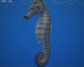 Seahorse Low Poly Modèle 3D