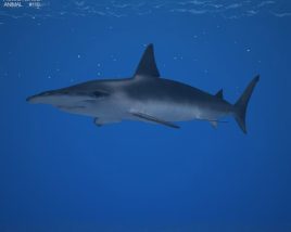 Smooth Hammerhead Shark Low Poly Modelo 3d