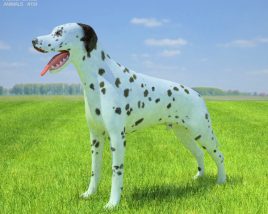 Dalmatian Low Poly 3D модель