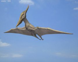 Pteranodon Low Poly Modelo 3d