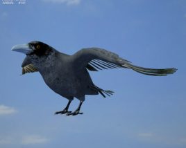 Raven Low Poly Modèle 3D