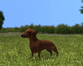 Dachshund Low Poly 3D 모델 