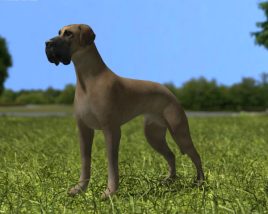 Great Dane Low Poly 3D 모델 