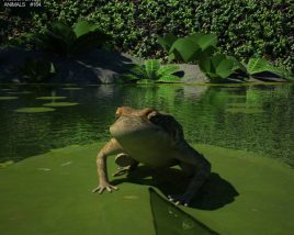 Cane toad Low Poly Modello 3D