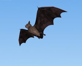 Bat Low Poly Modello 3D