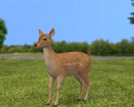 Fawn Low Poly Modello 3D