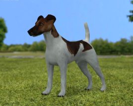 Fox Terrier smooth Low Poly 3D модель