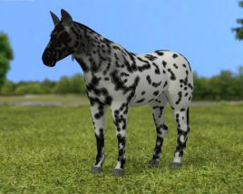 Horse Knabstrupper Low Poly 3D-Modell
