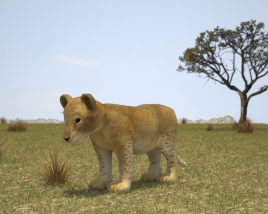 Lion cub Low Poly 3D 모델 