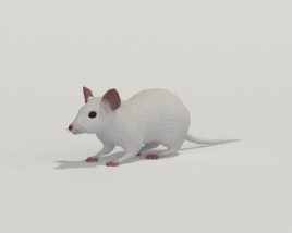Mouse White Low Poly Modèle 3D