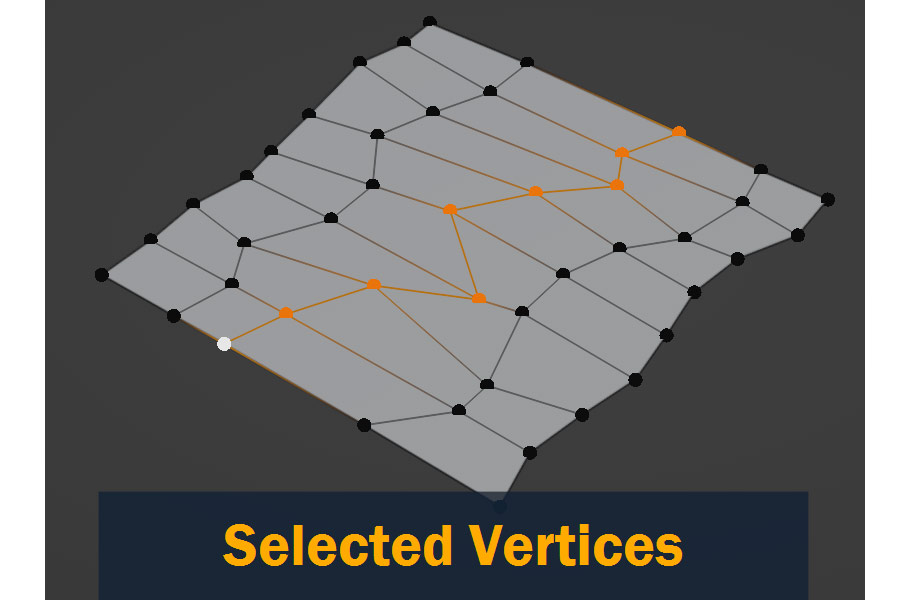 selected vertices