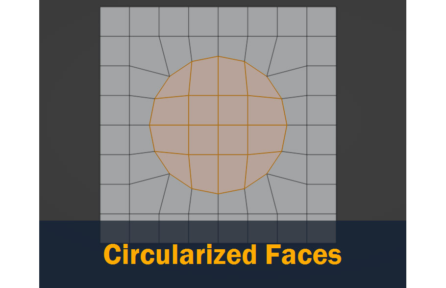 circularized faces