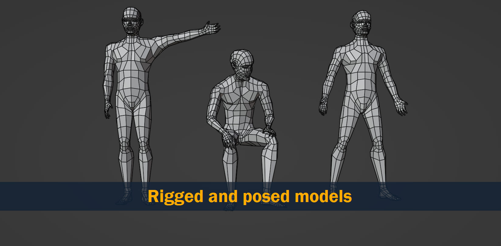rigged and posed models