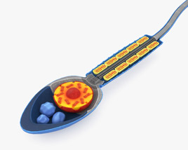 Samenzelle 3D-Modell