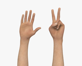 Male Hands Peace Gesture Modelo 3d