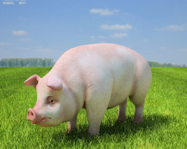 Pig Low Poly Modello 3D