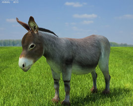Donkey Low Poly Modello 3D