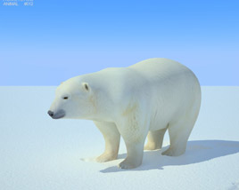 Polar Bear Low Poly Modèle 3D