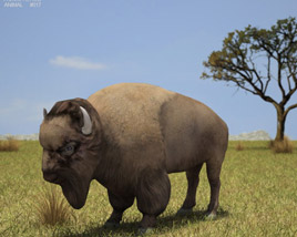 American Bison Low Poly 3D 모델 
