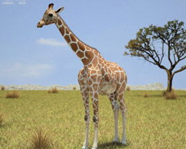 Giraffe Low Poly 3D模型